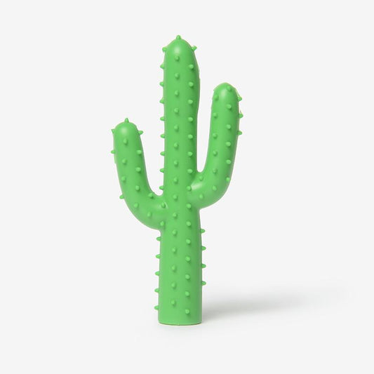 Cactus Squeak